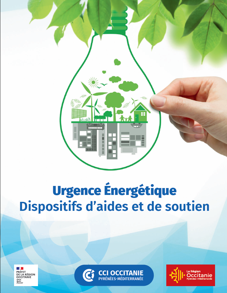 Guide Energie CCI AVEYRON CCI OCCITANIE Décembre 2022