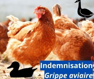 Dispositif d'indemnisation grippe aviaire 