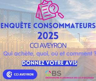 Enquête de consommation 2025