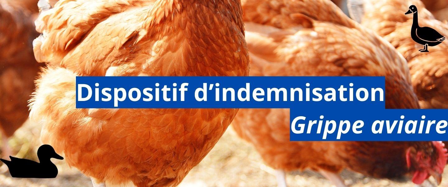 Indemnisation grippe aviaire